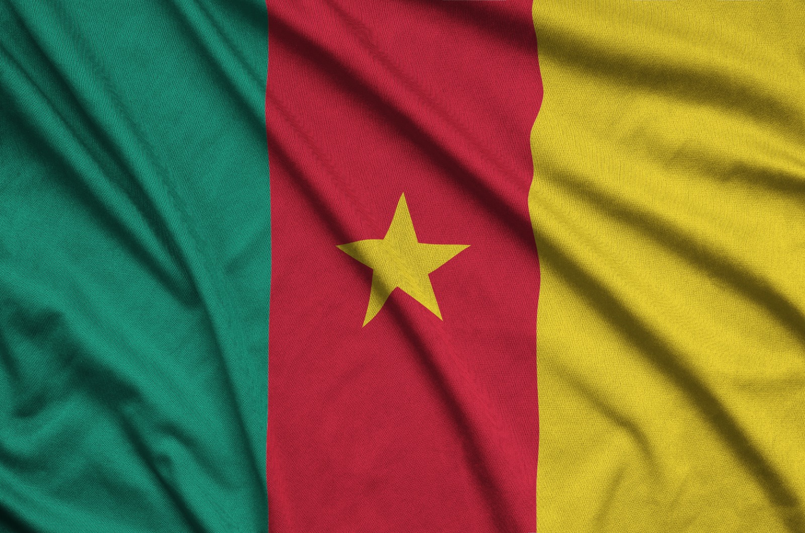 cameroon flag